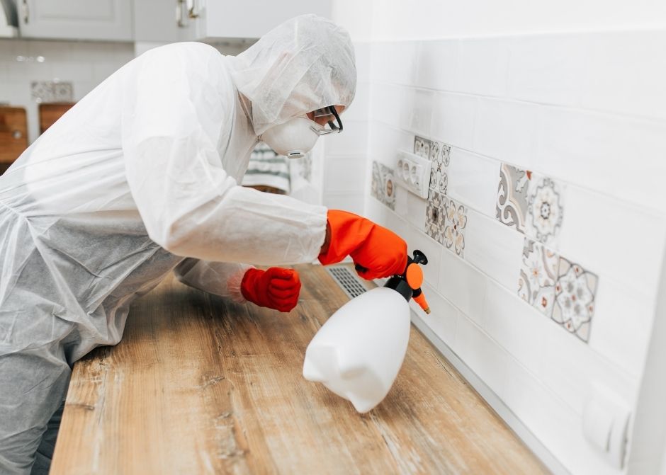 ÜNYE BÖCEK İLAÇLAMA FİRMALARI 