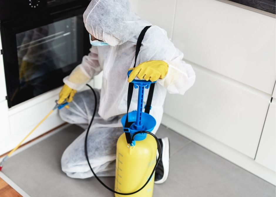 Altınordu Böcek İlaçlama Firmaları